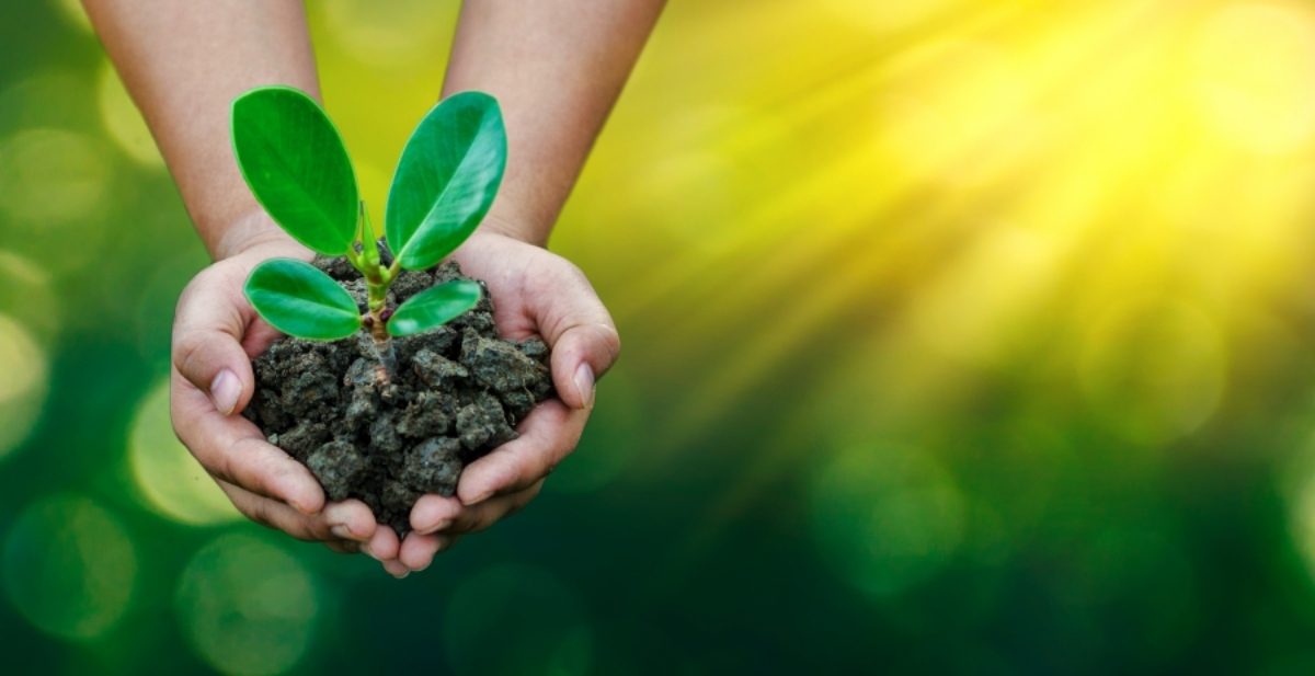 A hand holding soil