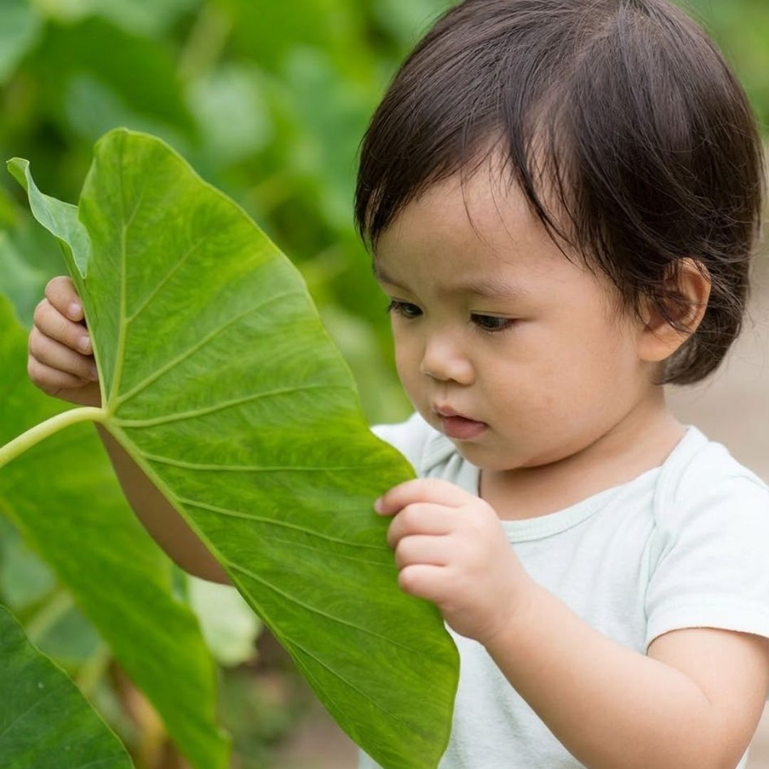 A small child examining a large green leaf with curiosity.